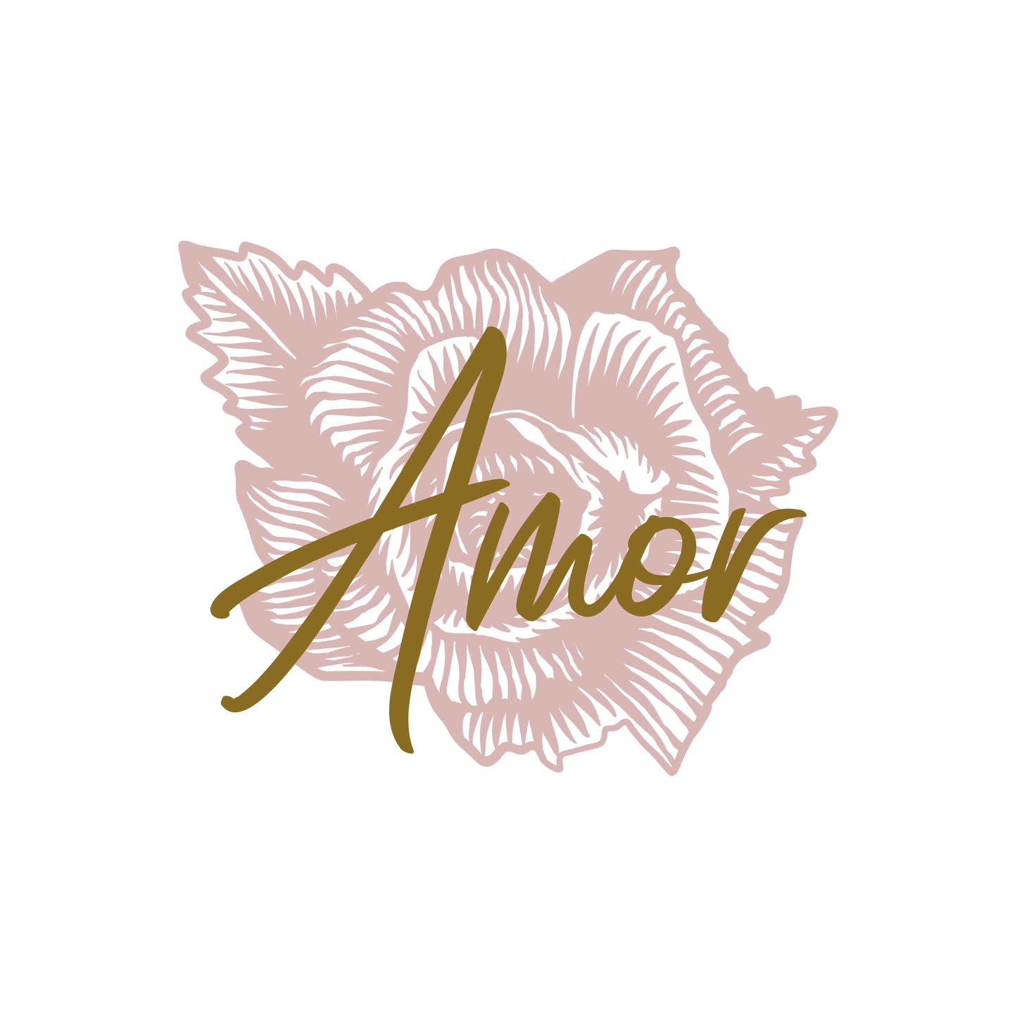 Amor WomenÕs Crop Tee - Great Latin Clothing